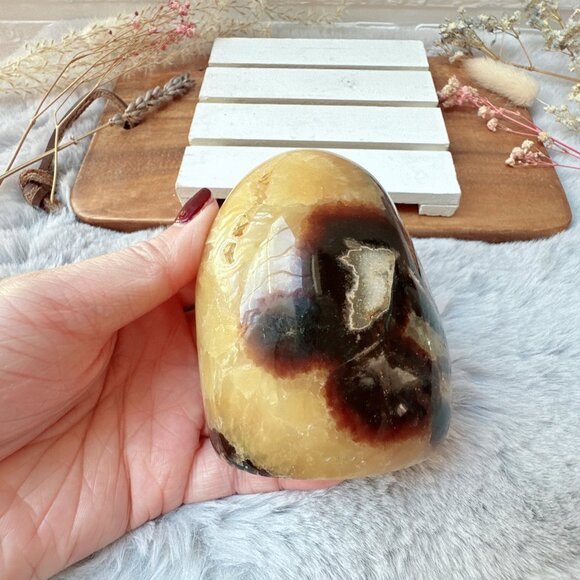 Beautiful Septarian Free Form - Picture 1 of 6